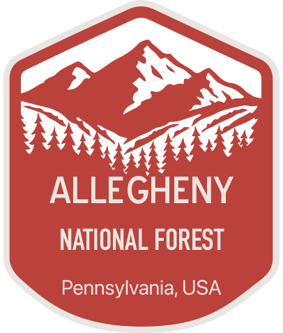 National forest badge collection earned in Clue Forest